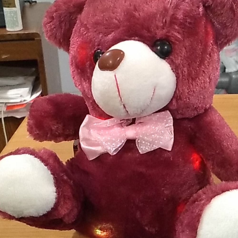 Pretty bear - Picture 2 of 2